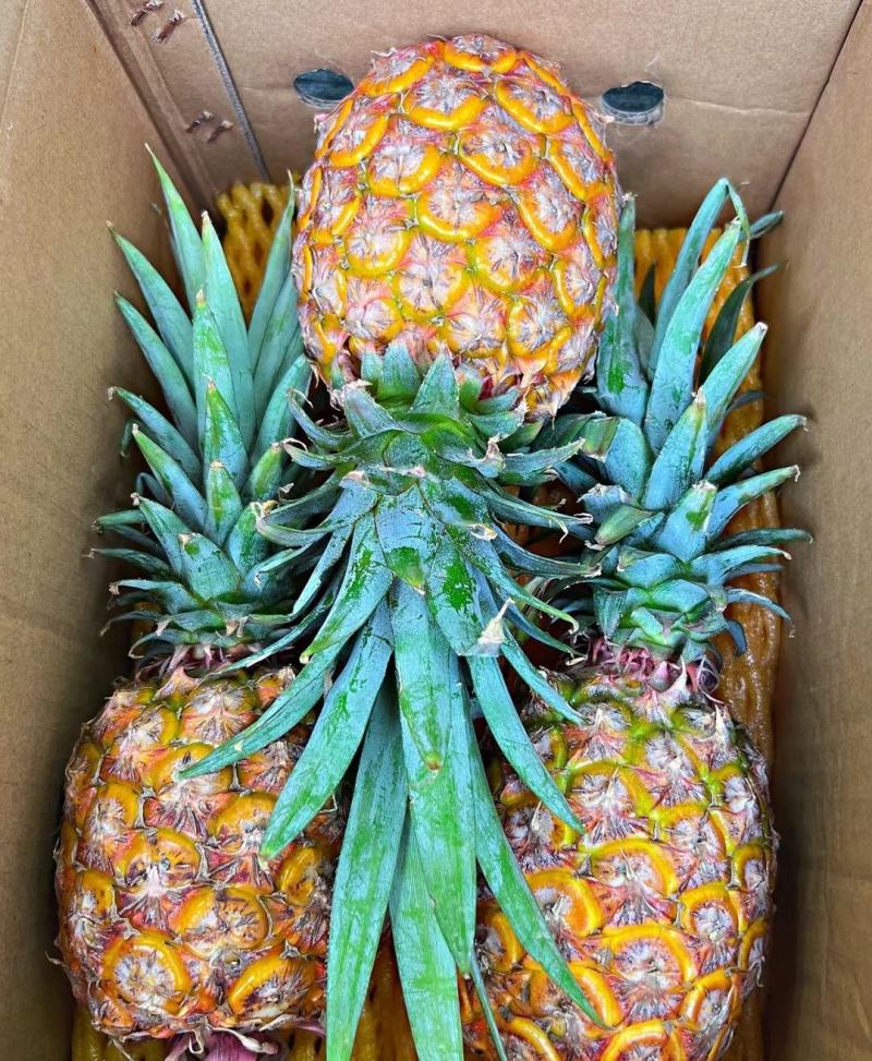 海南货源